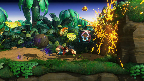 SW2 Donkey Kong Bananza