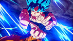 Dragon Ball: Sparking! Zero Switch
