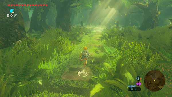 SW2 The Legend of Zelda: Breath of the Wild - Nintendo Switch 2 Edition